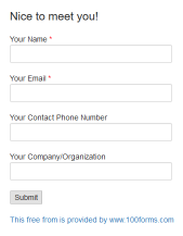 Nice to Meet You! form example