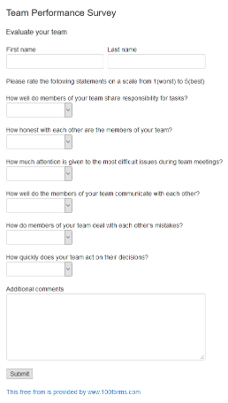 Team Performance Survey form example